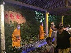 -印象普陀