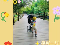 -吴淞炮台湾湿地森林公园烧烤区