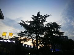 -五台山游泳馆