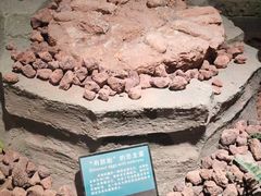 -辽宁古生物博物馆