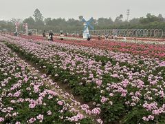 -盈香心动乐园