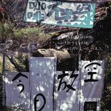 去坡峰岭的☕坡峰·咖啡沉浸赏秋