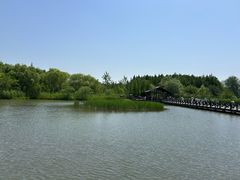 -溱湖国家湿地公园