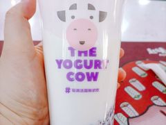 -一只酸奶牛(捞沙巷店)