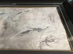 -诸城市恐龙博物馆