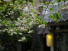 竹吟山房-竹吟山房
