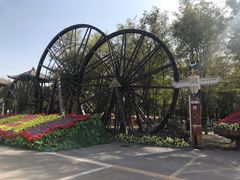 -呀路古热带植物园