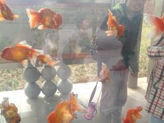 -石家庄市动物园