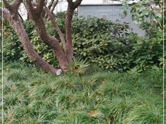 -上海美兆健康医疗体检中心(古北店)