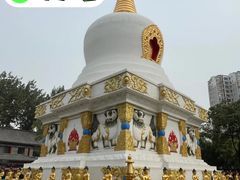 -护国法轮寺