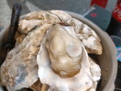 -大孩龙虾(体育场旗舰店)