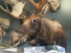 -陕西自然博物馆