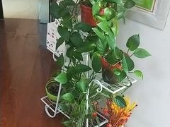 -自然之声助听器·呼吸机(和平店)