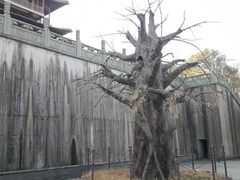 -南京市江宁方山