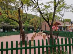-无锡动物园·太湖欢乐园