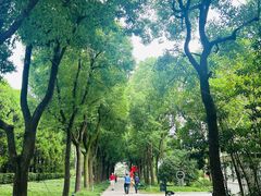 -宋庆龄陵园