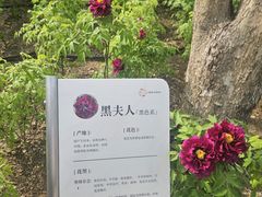 -太阳宫公园