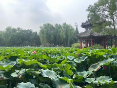 -莲池书院博物馆