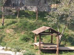 -石家庄市动物园