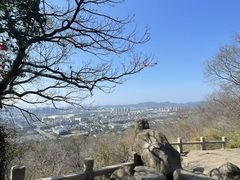 -灵岩山风景区