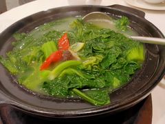 烧骨煲淋芥菜-粤西稻里(富力路店)
