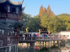 -绿波廊(豫园店)