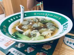 紫菜鲜肉云吞-袁记云饺(南门口店)