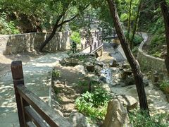 -北京西山国家森林公园