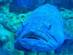 -珠海长隆海洋王国