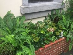 门面-也枫·小黄楼(南山路旗舰店)