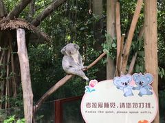 -广州长隆野生动物世界