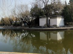 -团结湖公园