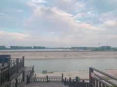 -合肥滨湖国家森林公园