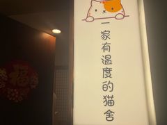 -猫十亿·布偶金渐层·曼基康矮脚猫舍(青年路店)