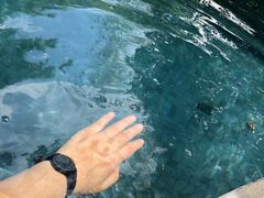 -宁海安岚·南溪阁全日餐厅