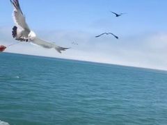 -海驴岛(荣成市)