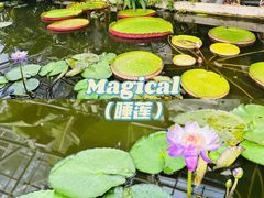 -国家植物园南园