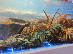 -渔港甄宴·海鲜·地标烟台菜(金沙滩店)