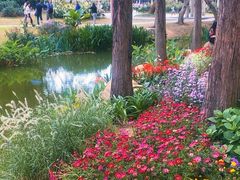 -人民公园(罗湖区)