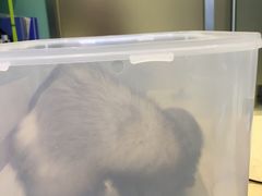 -雨林宠物医院 非犬猫异宠专科