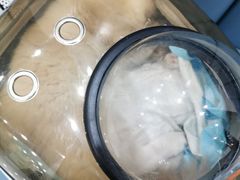 -德元·美联众合24小时动物医院(总院)