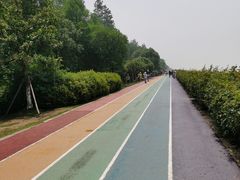 -贡湖湾湿地公园