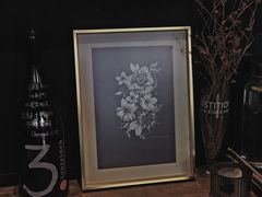 -MEDISN·药厂