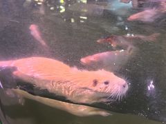 -正佳雨林生态植物园