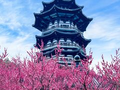 -洋湖国家湿地公园