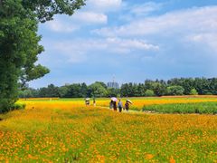 -长广溪湿地公园