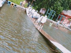 -牛鱼嘴原始生态风景区