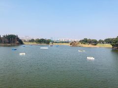 -银涛高尔夫练习场(徐泾店)