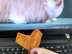 -爪爪西施