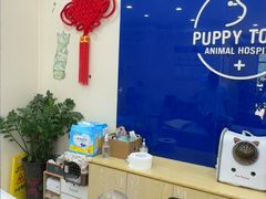 -芭比堂动物医院·24小时·眼科中心(深圳中心)